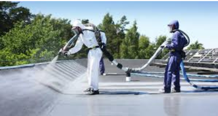 Untitled design (13)